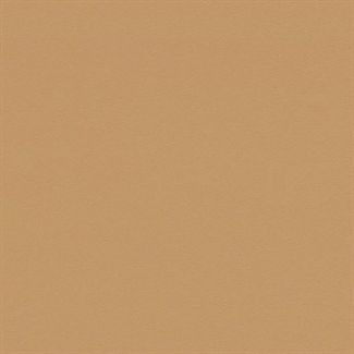 Ljusbrun linoleum efter mått | 4002 Leather | Forbo Linoleum