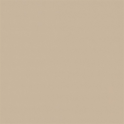 Beige linoleum efter mått | 4176 Mushroom | Forbo Linoleum